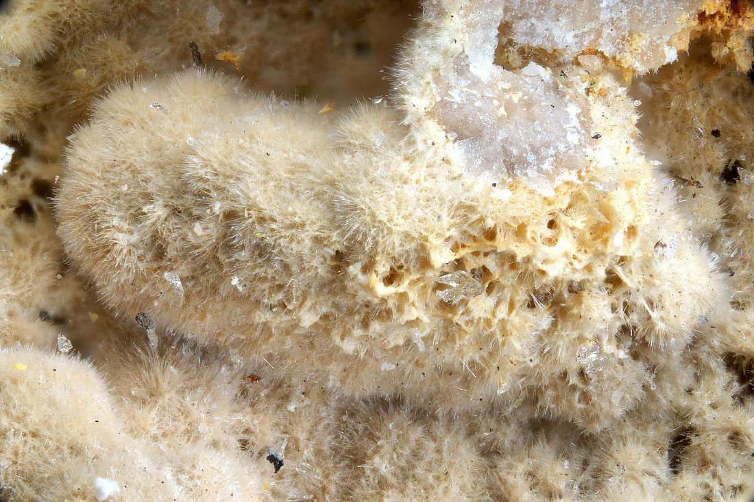 Rhabdophane-(La)