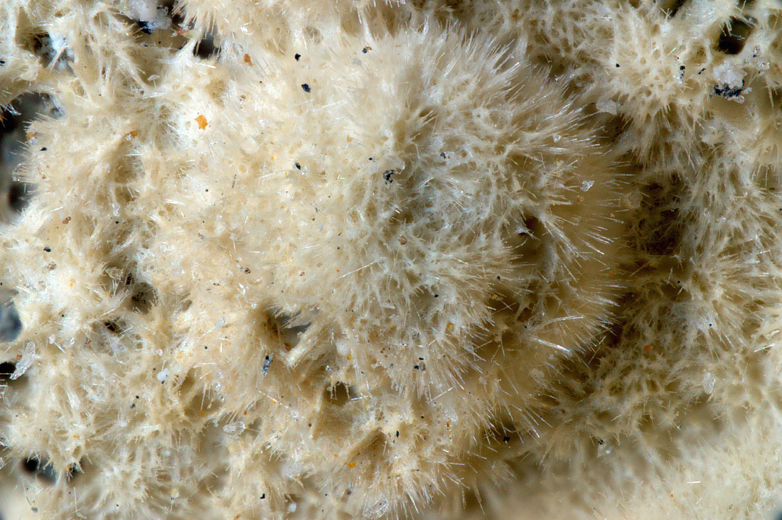Rhabdophane-(La)