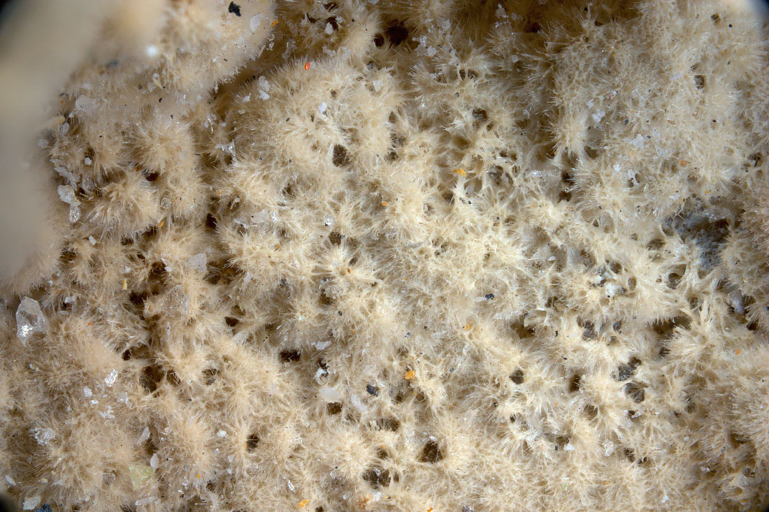 Rhabdophane-(La)