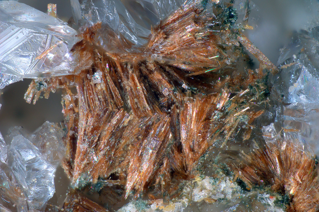 Schmidite & Phosphophyllite