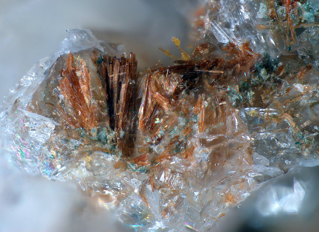 Schmidite & Phosphophyllite