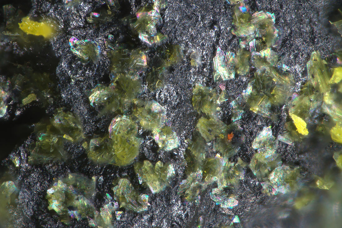 Vandendriesscheite & Ianthinite & Marthozite