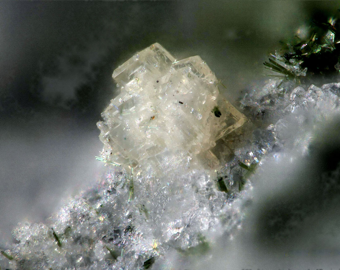 Benyacarite & Waylandite