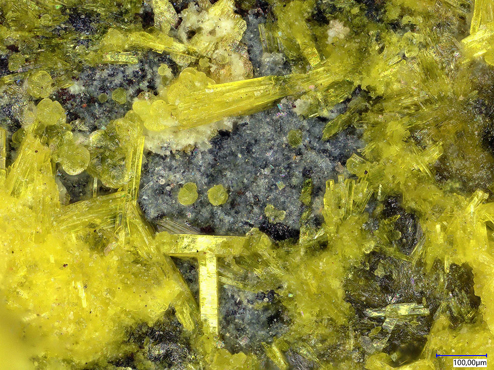 Astrocyanite-(Ce) & Kamotoite-(Y) & Roubaultite