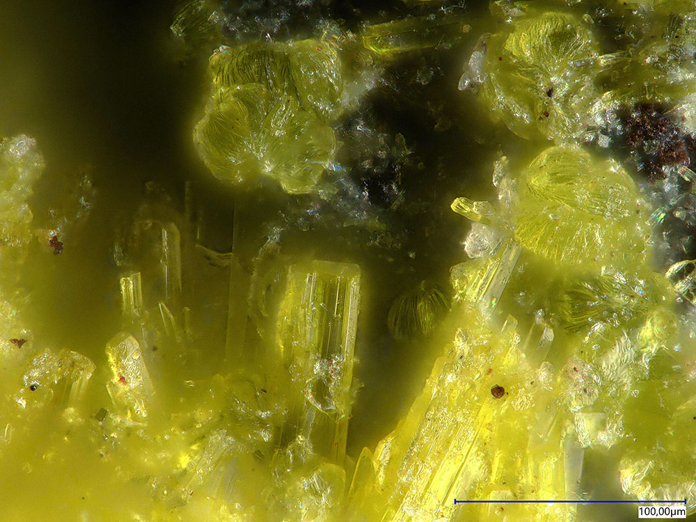 Astrocyanite-(Ce) & Kamotoite-(Y) & Roubaultite