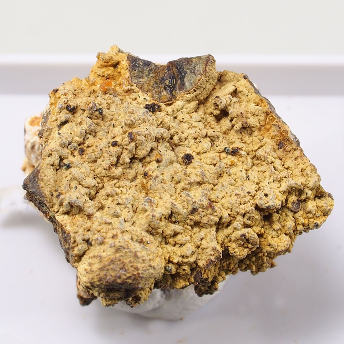 Ushkovite & Beryllonite