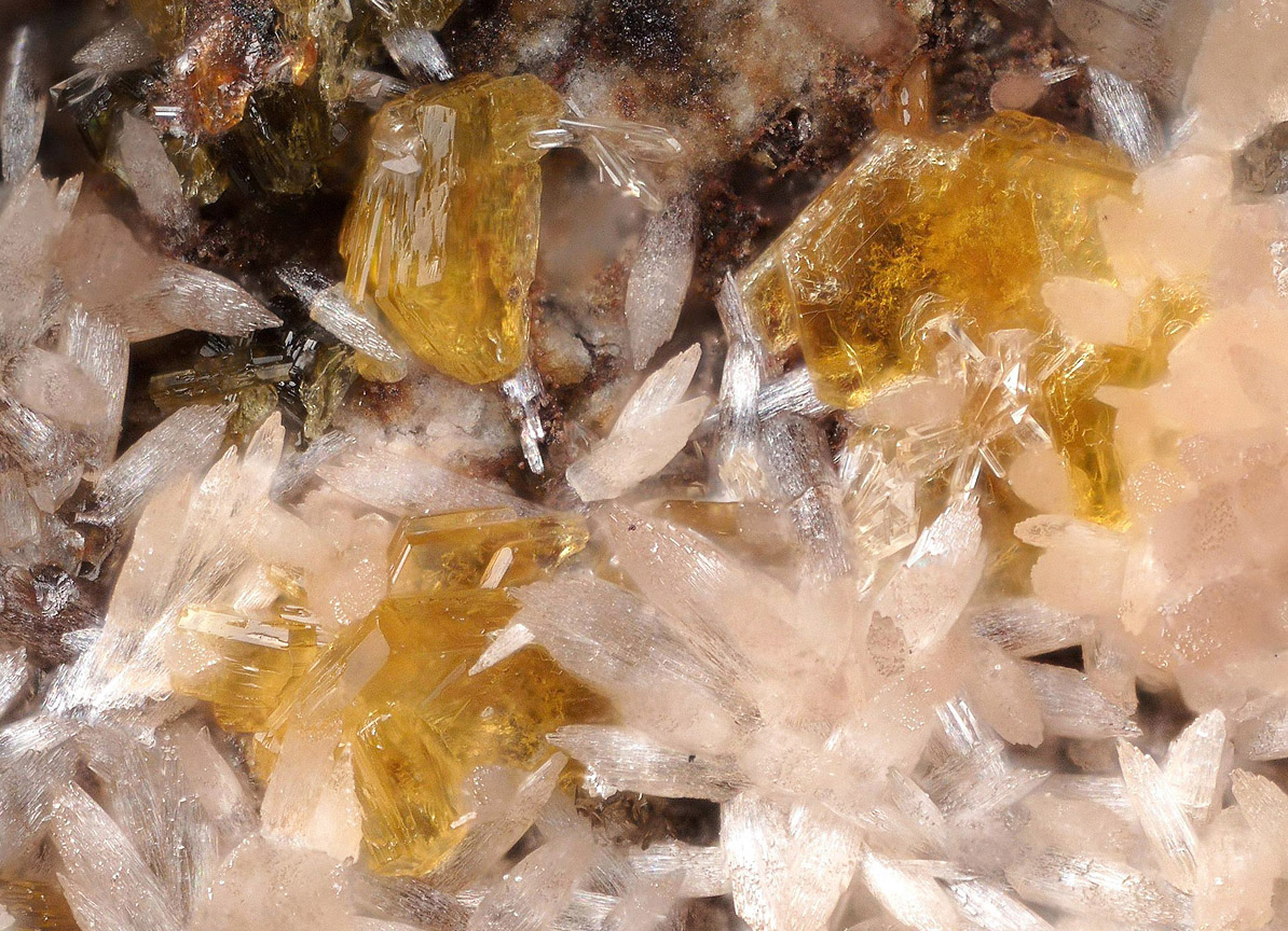 Shigaite & Triploidite