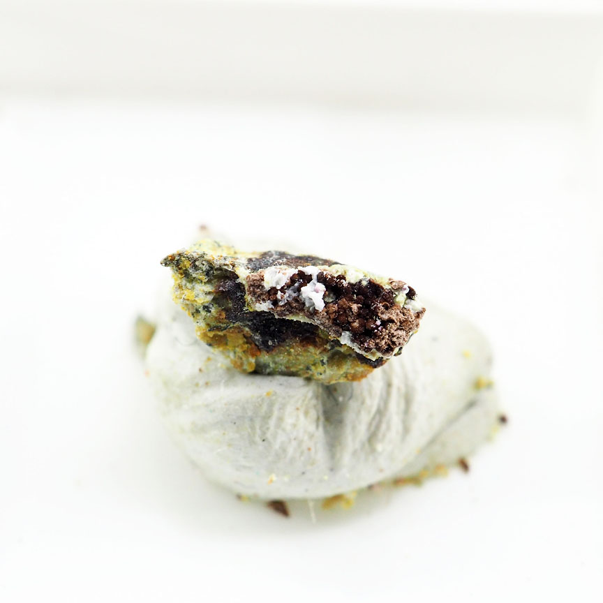 Canutite