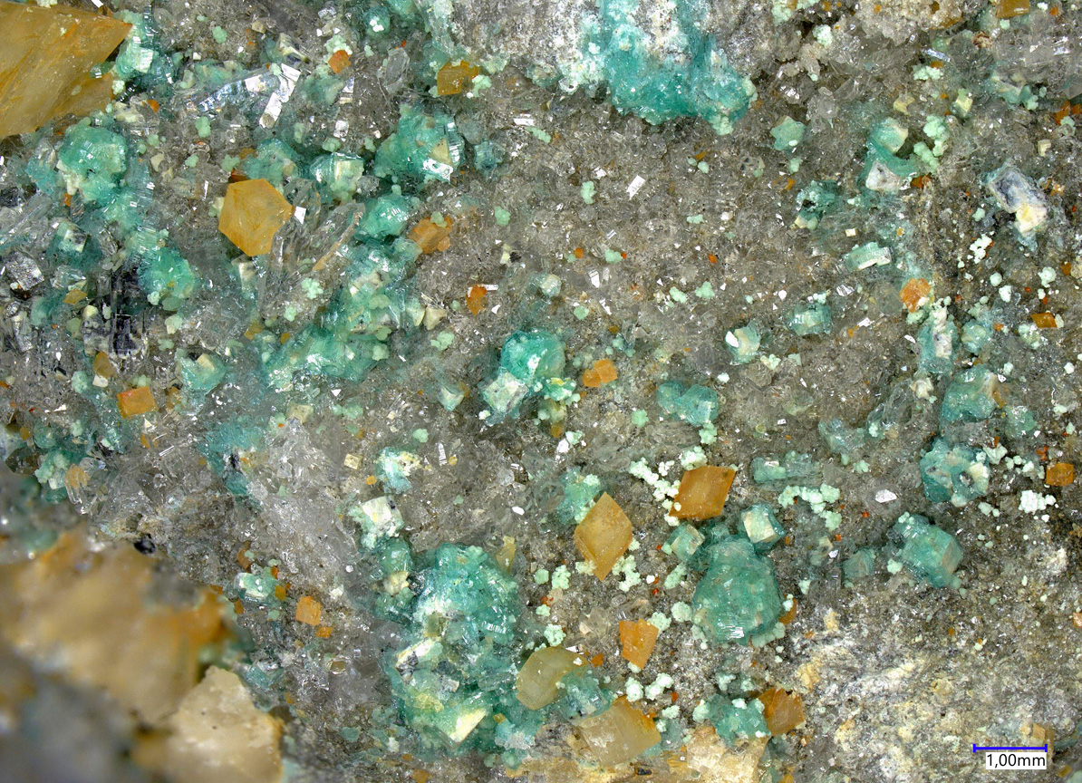 Bottinoite