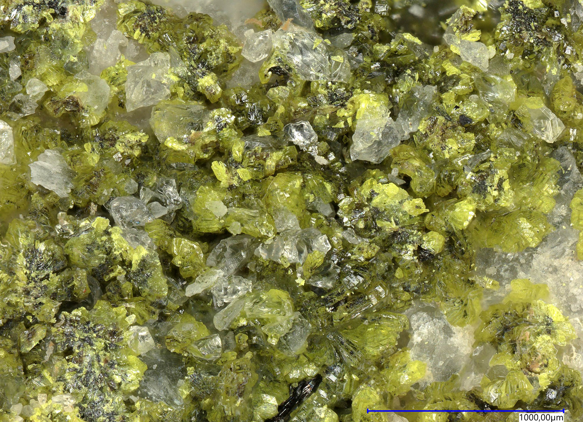 Hydrotungstite & Ferberite