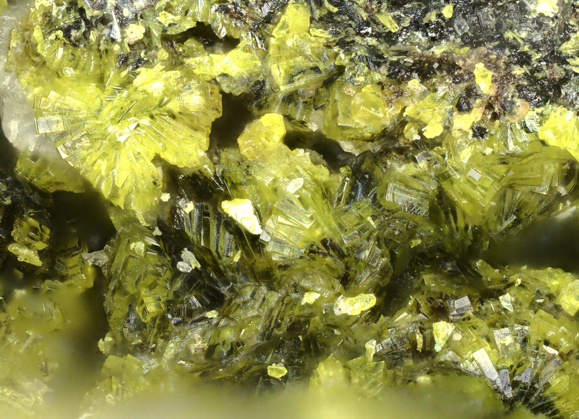 Hydrotungstite & Ferberite