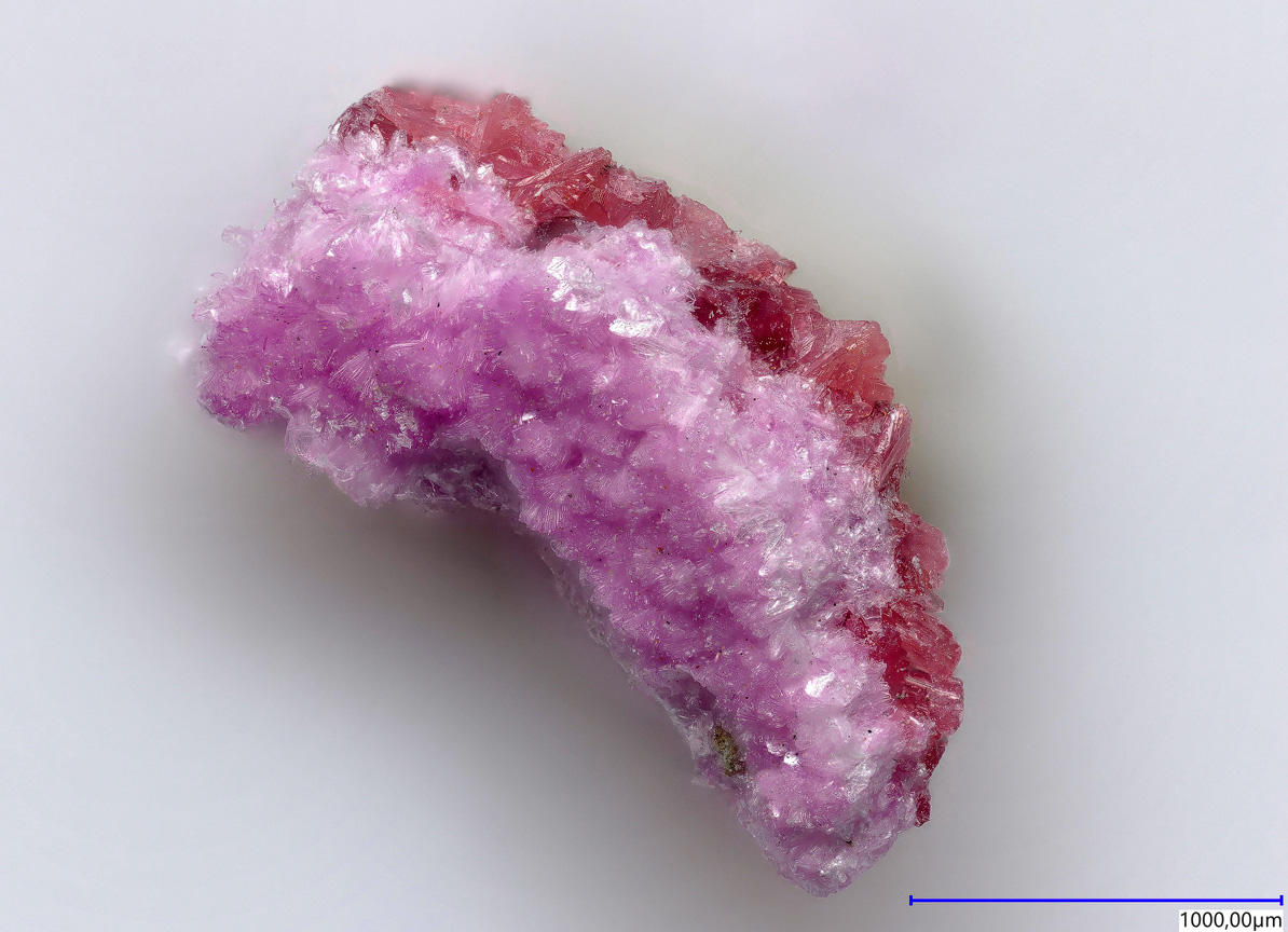 Ianbruceite
