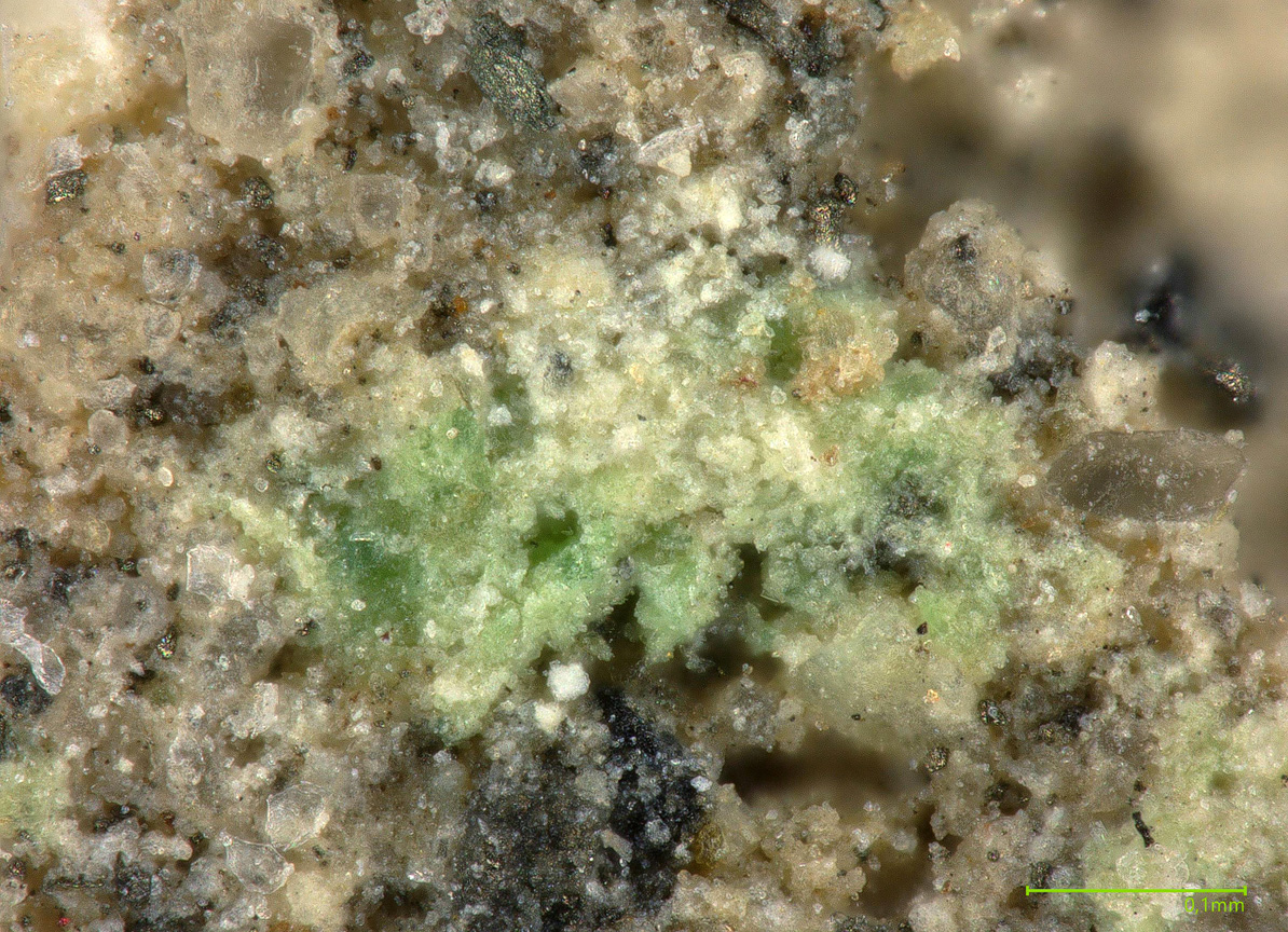 Lermontovite