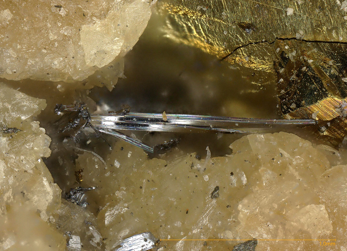 Gustavite