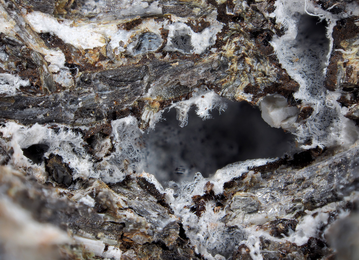 Tavagnascoite