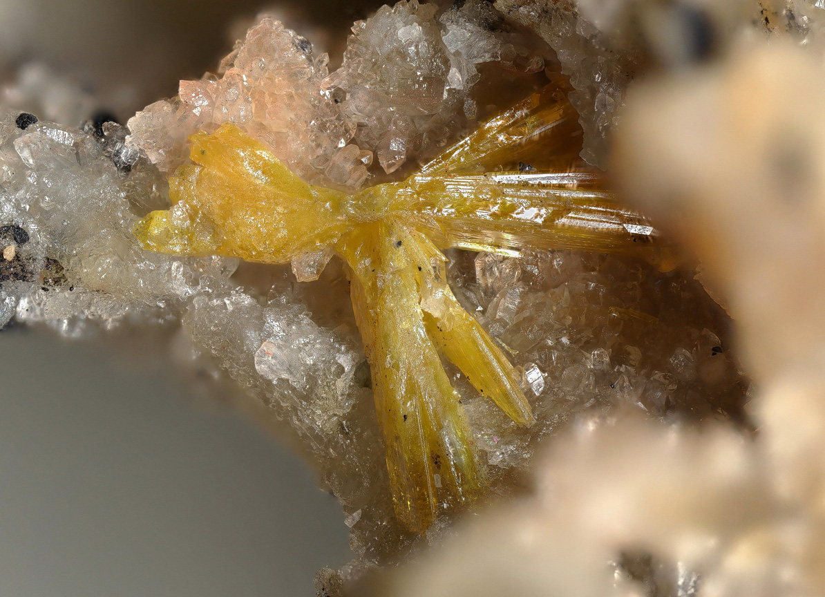 Walpurgite