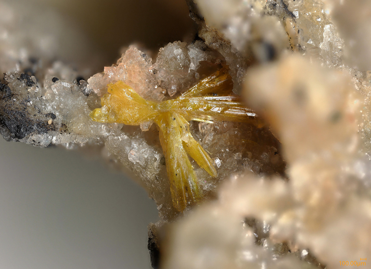 Walpurgite