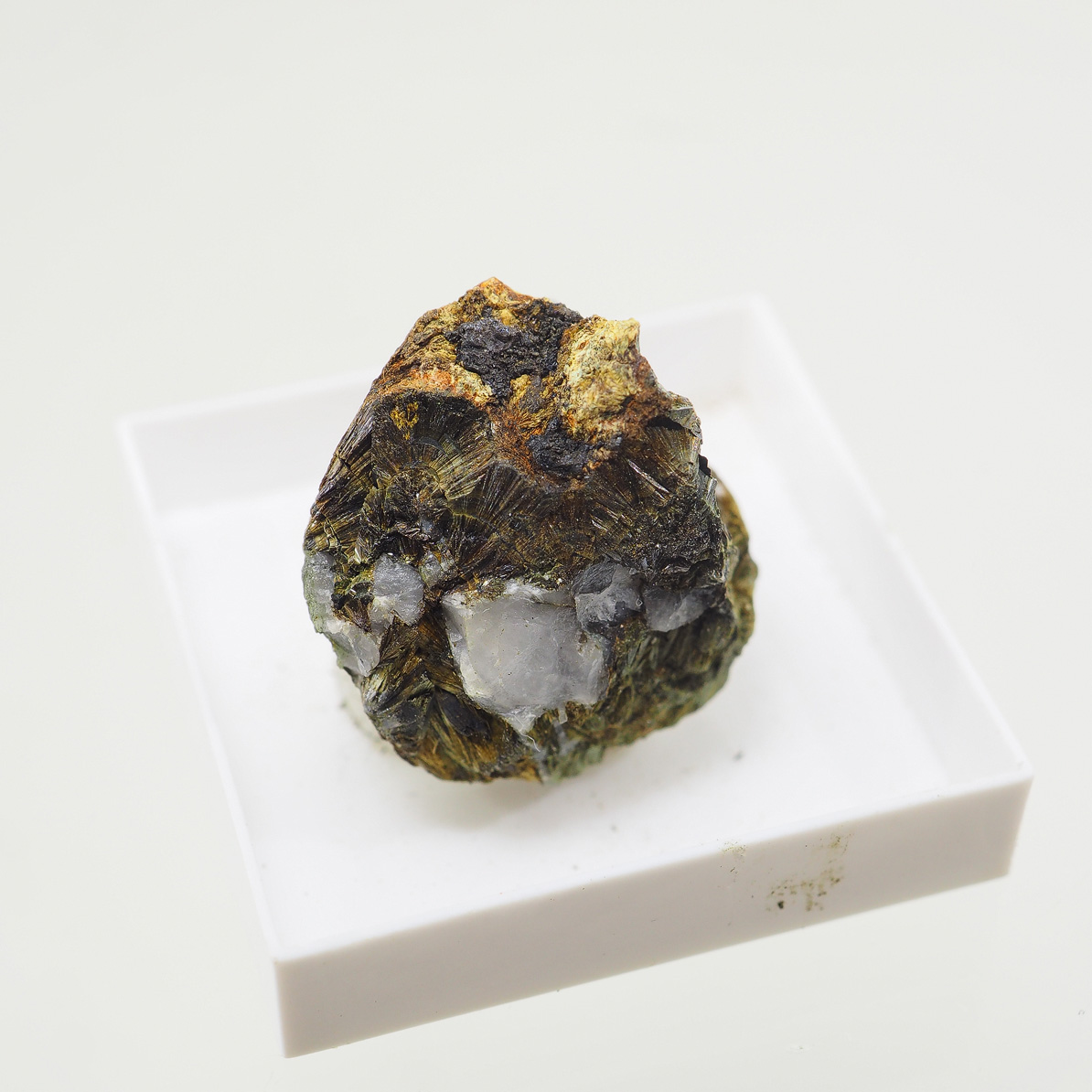 Wildenauerite