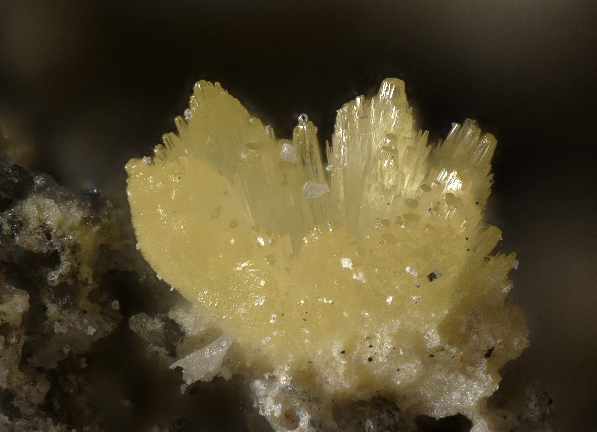 Lanarkite