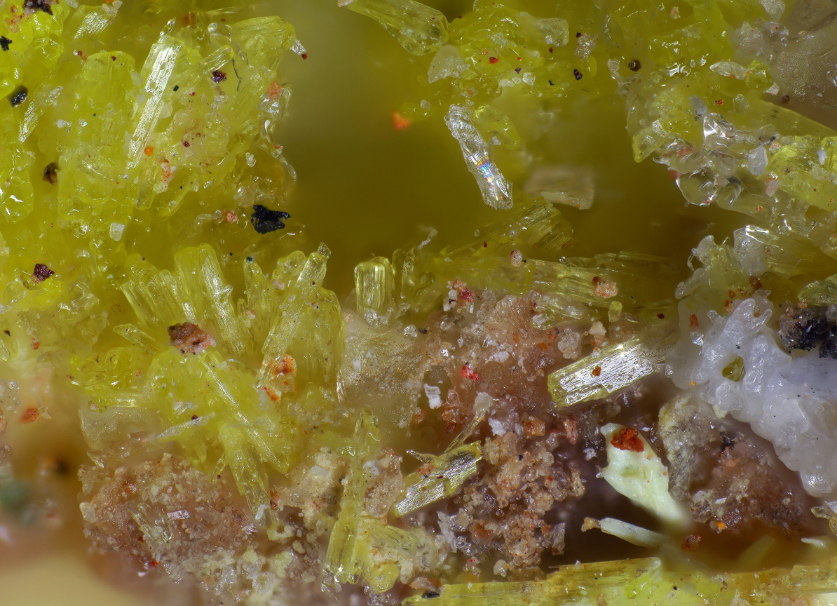 Bayleyite