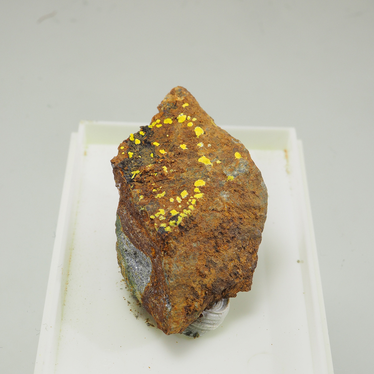 Grimselite