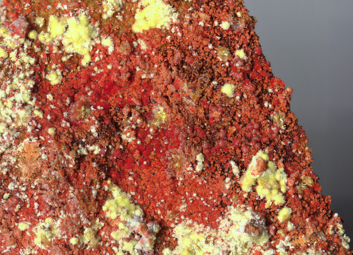 Umohoite & Calcurmolite