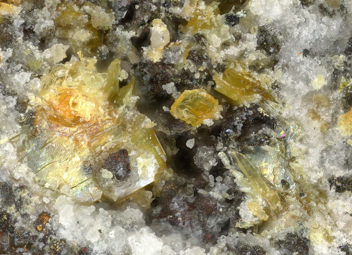 Bassetite