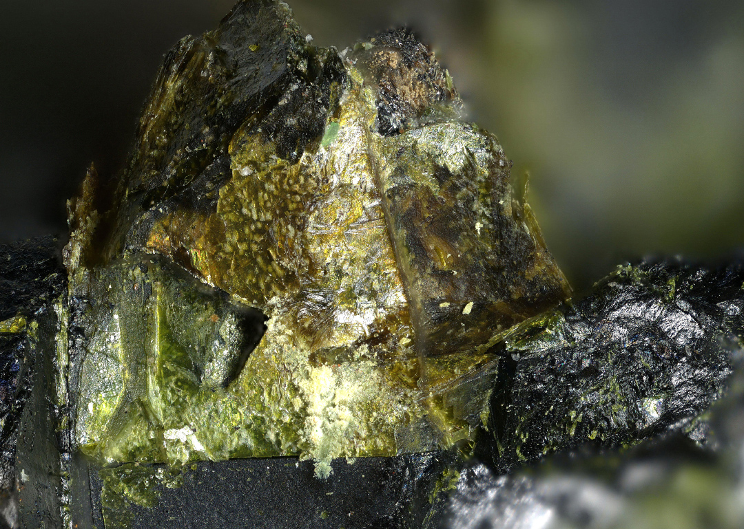Umohoite