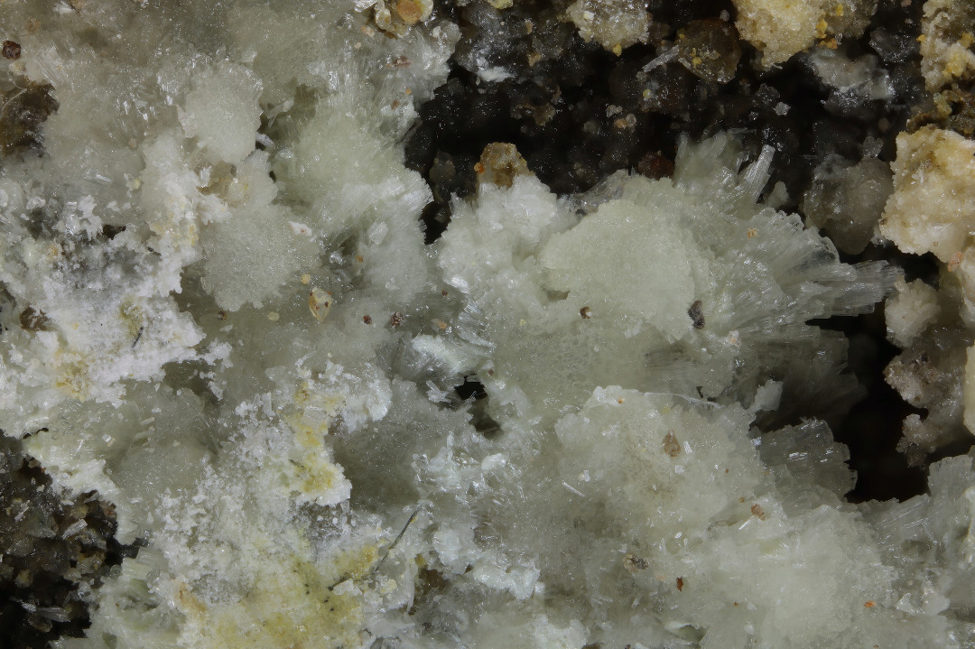 Dickthomssenite
