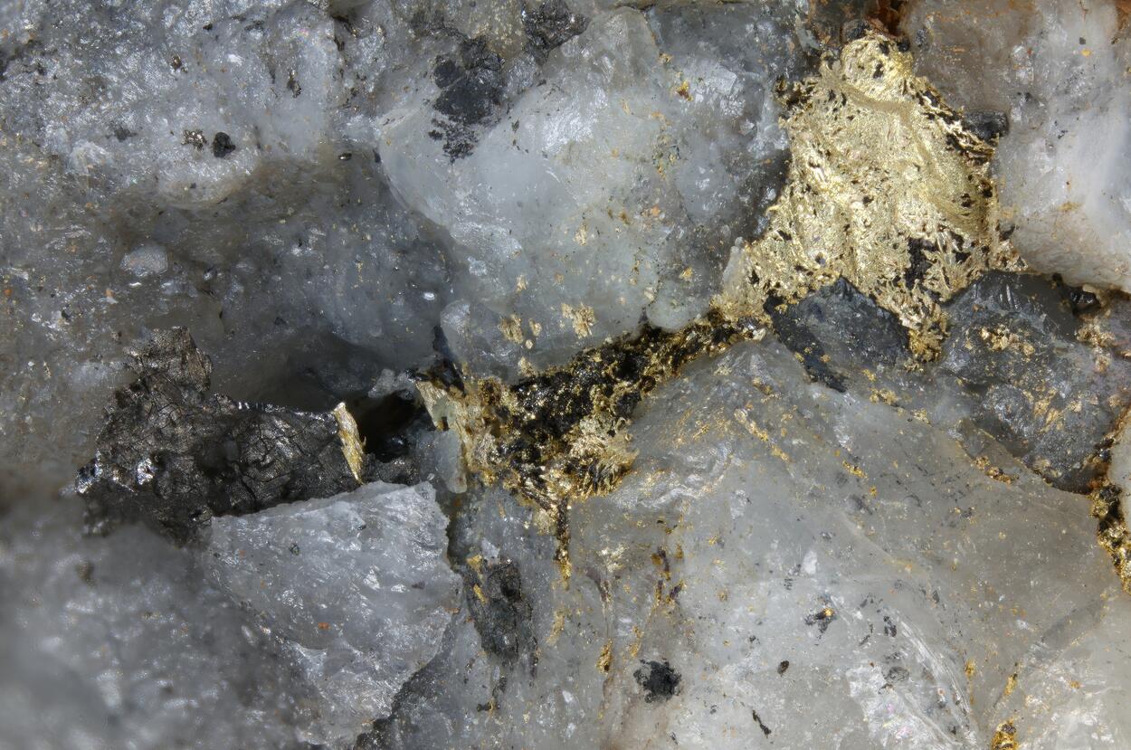 Native Gold & Hessite