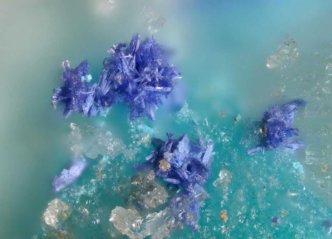 Bojarite