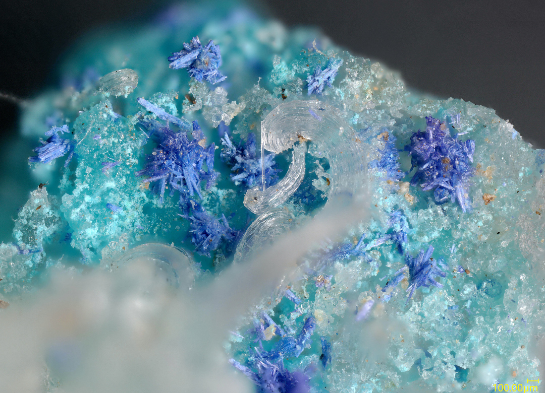Bojarite