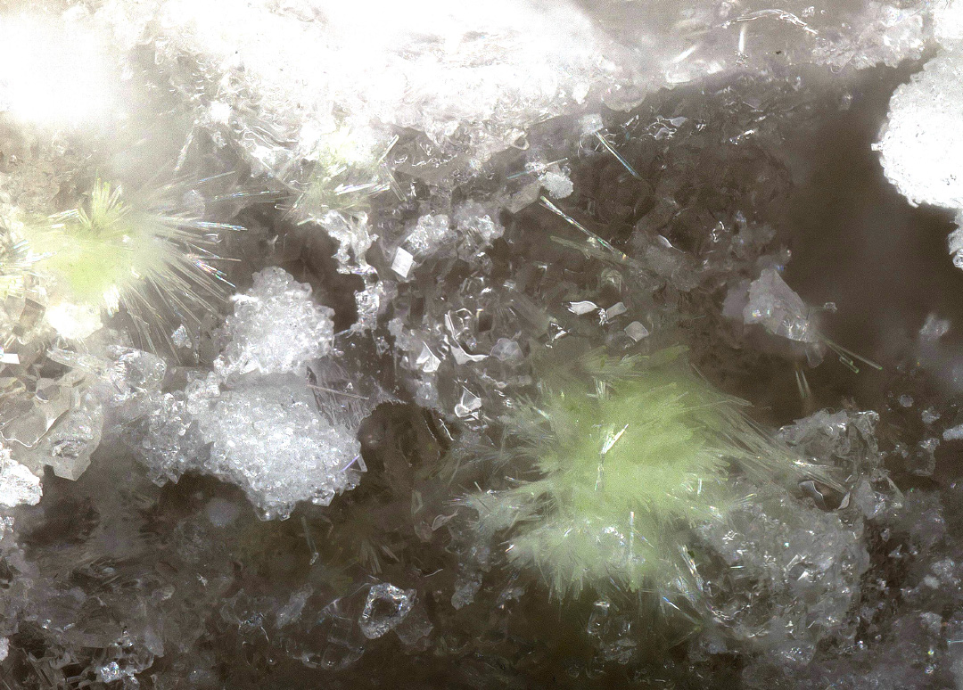 Belakovskiite
