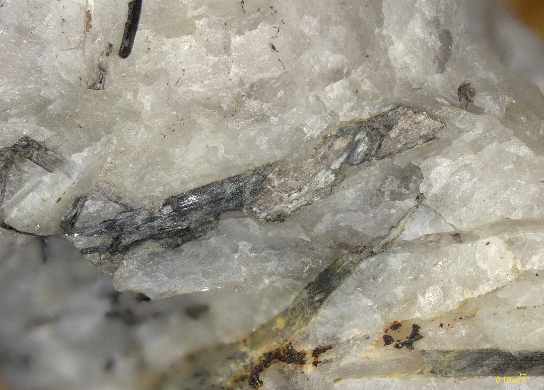 Aschamalmite