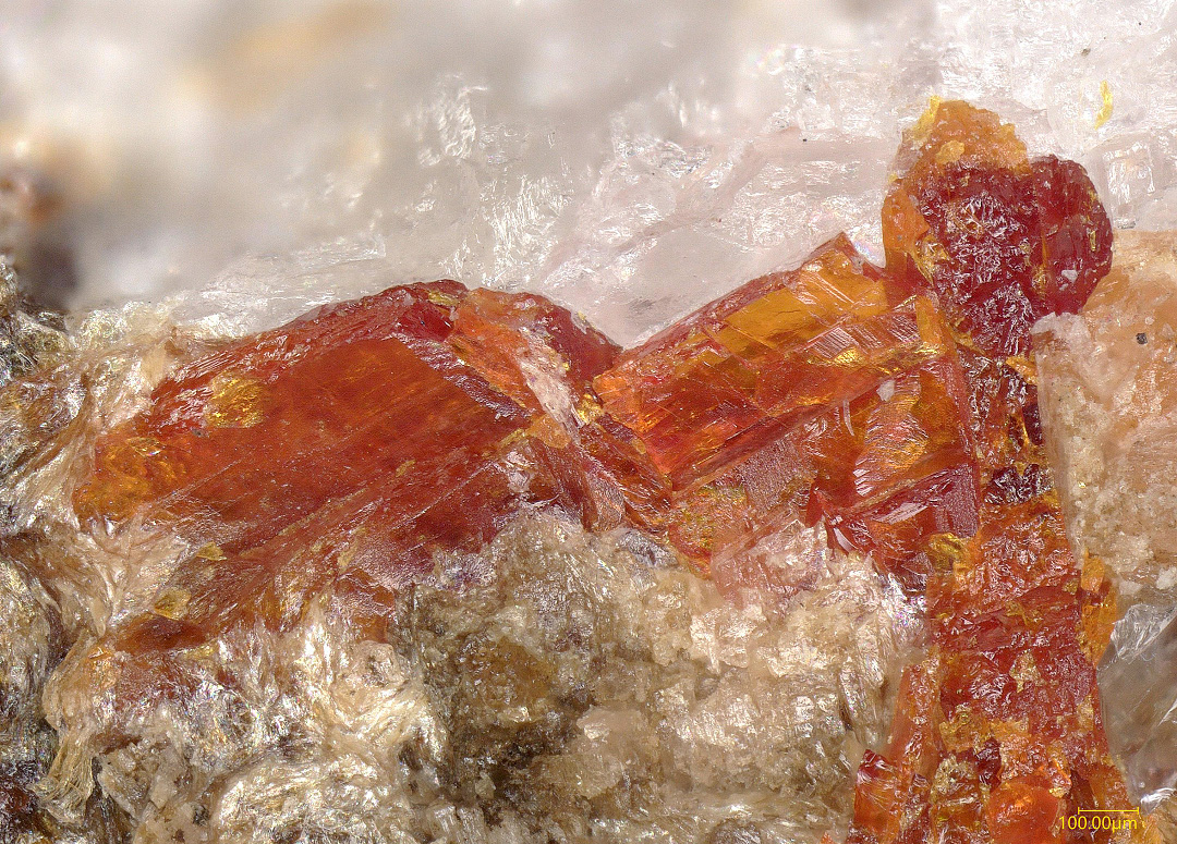Saneroite