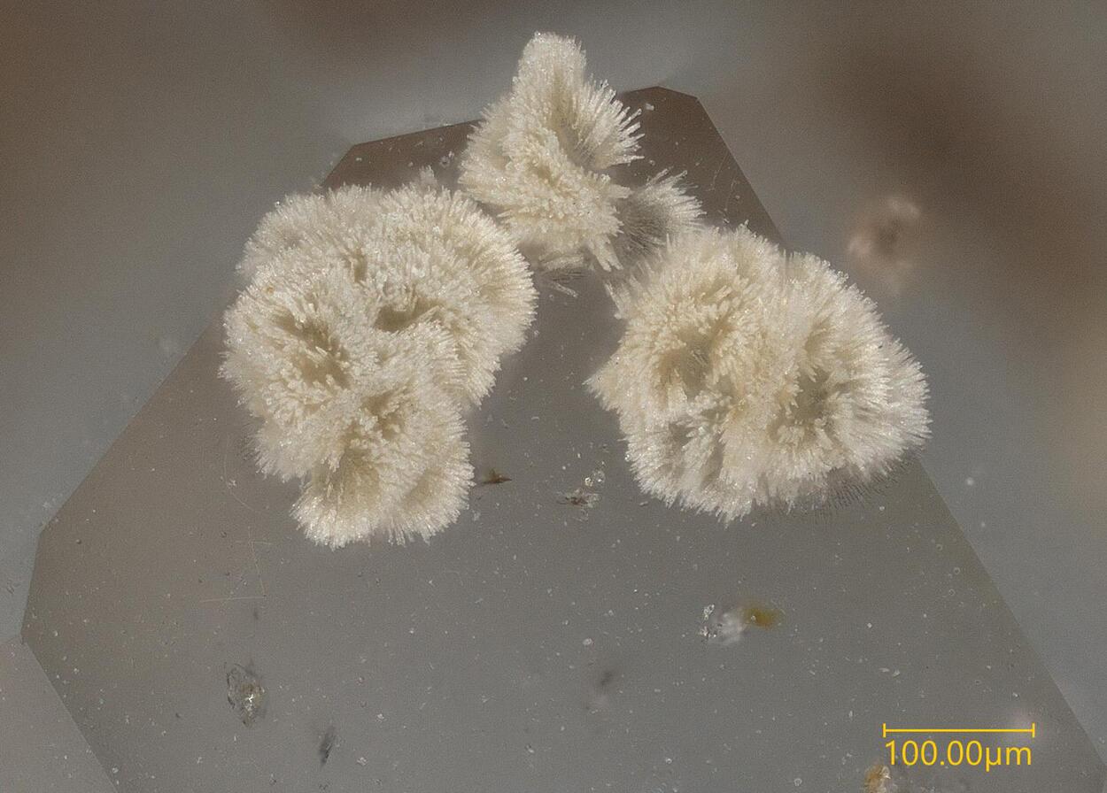 Korobitsynite