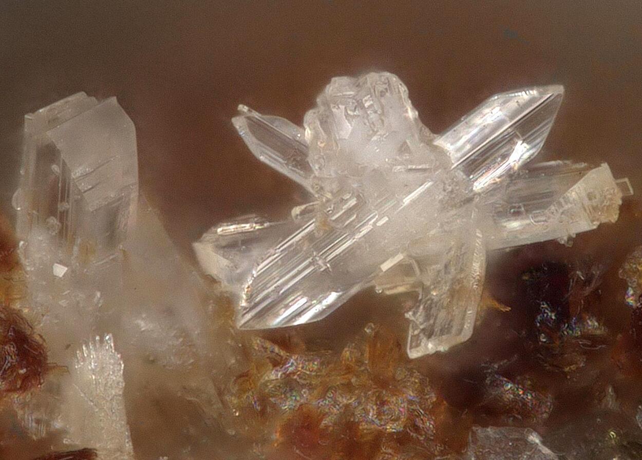 Korobitsynite