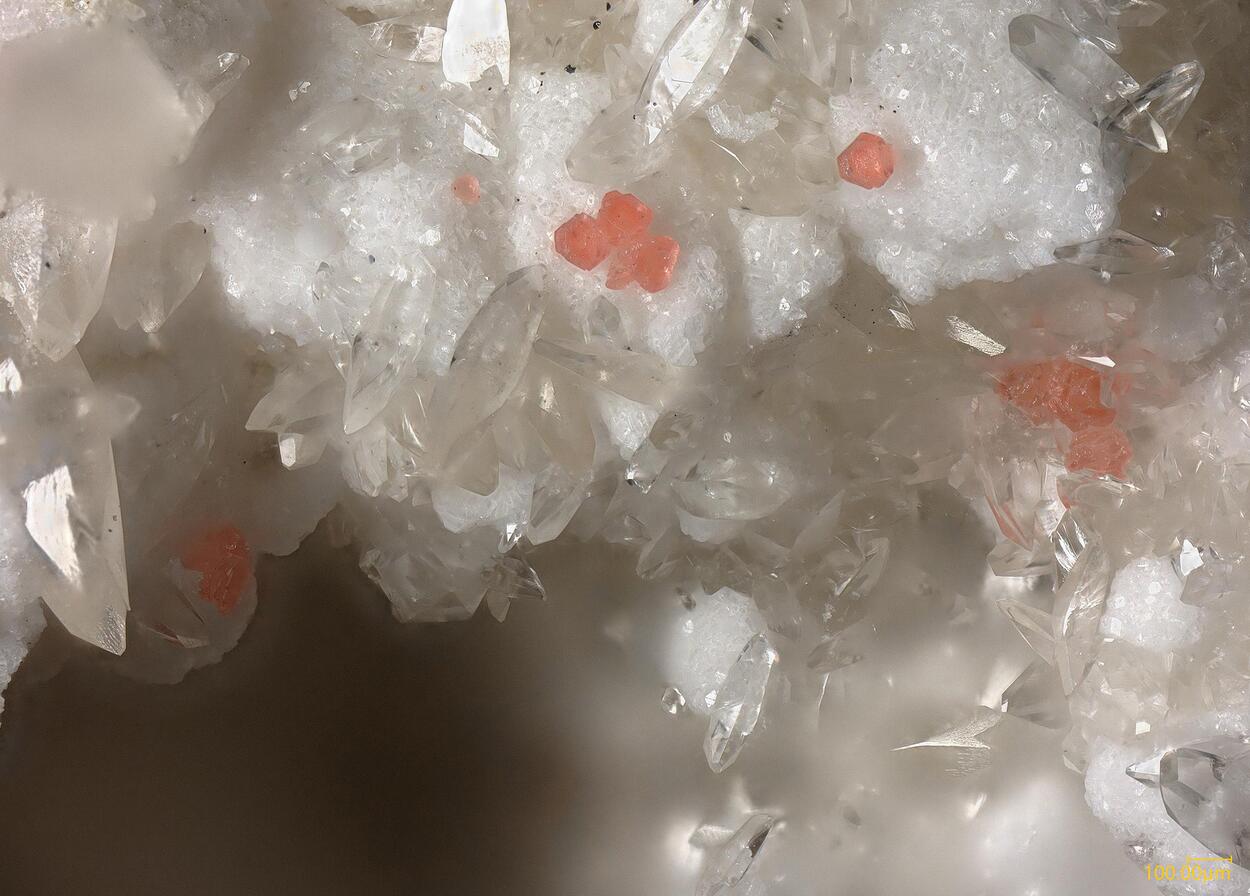 e-Rocks Mineral Auctions