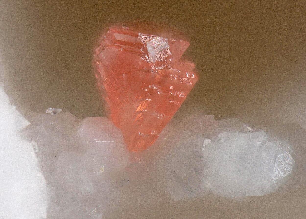e-Rocks Mineral Auctions