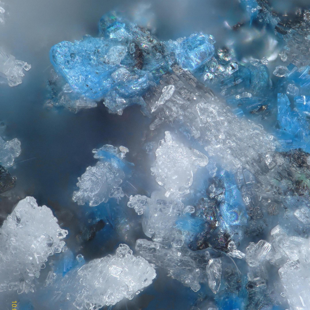 Lauraniite