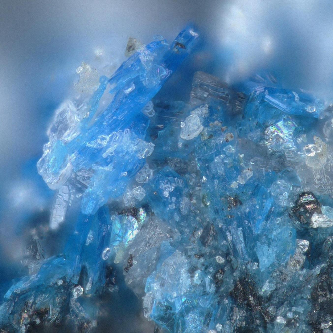 Lauraniite