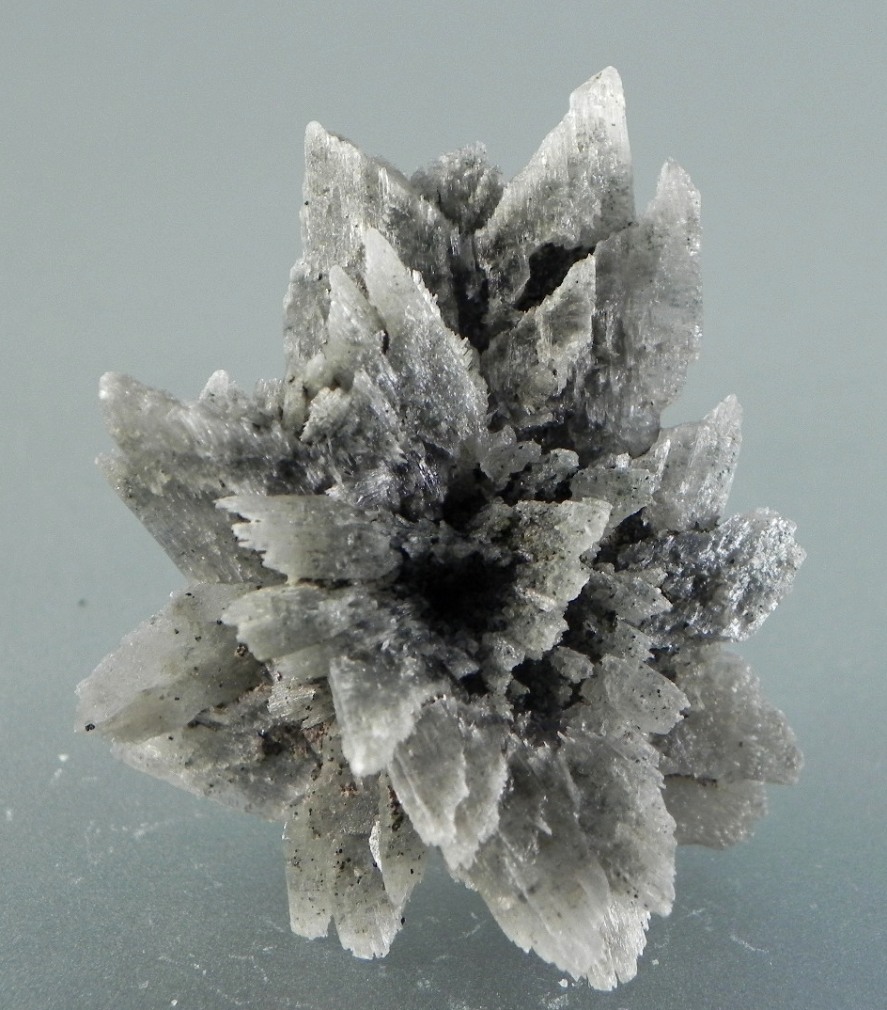 Gypsum Var Selenite