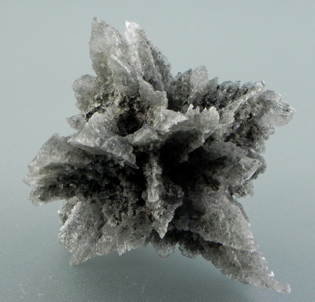 Gypsum Var Selenite