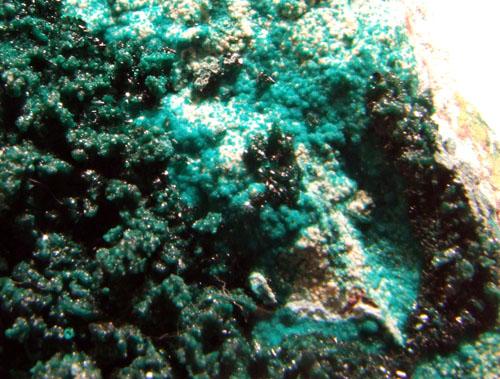 Antlerite & Atacamite