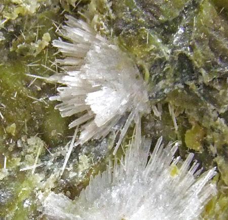 Aragonite On Serpentine