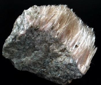 Bustamite