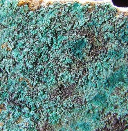 Cornwallite & Chrysocolla