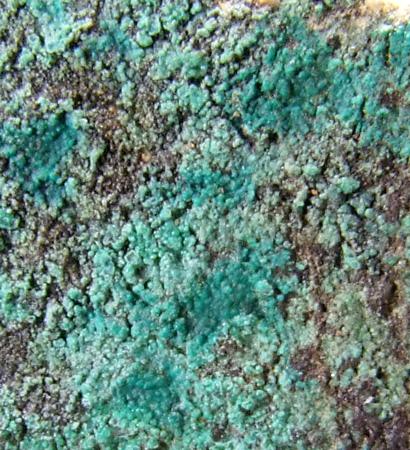 Cornwallite & Chrysocolla