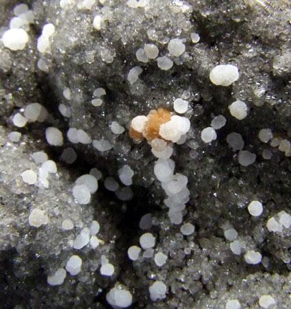 Gonnardite On Chabazite Var Phacolite