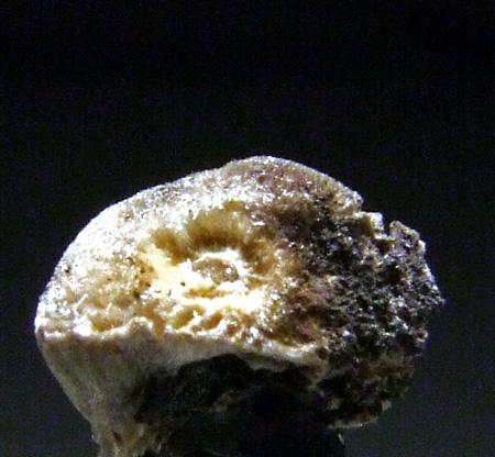 Kleemanite